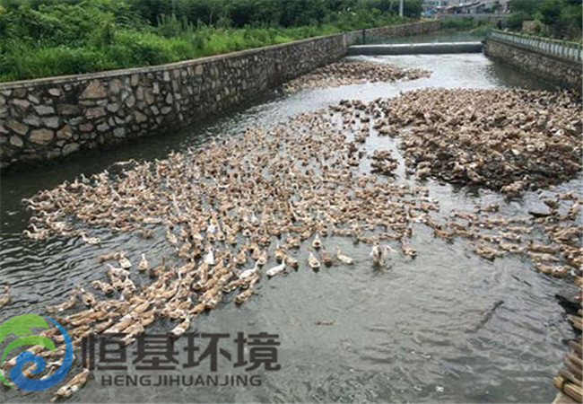 養雞場污水處理